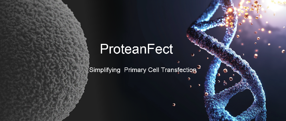 N首款基于内源蛋白的转染试剂正式更名为ProteanFect，开启细胞转染新纪元！