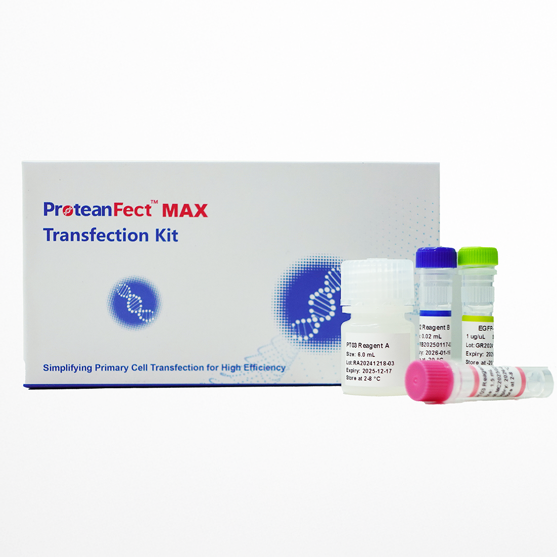 ProteanFect™ Max Mouse Immunocyte Transfection Kit