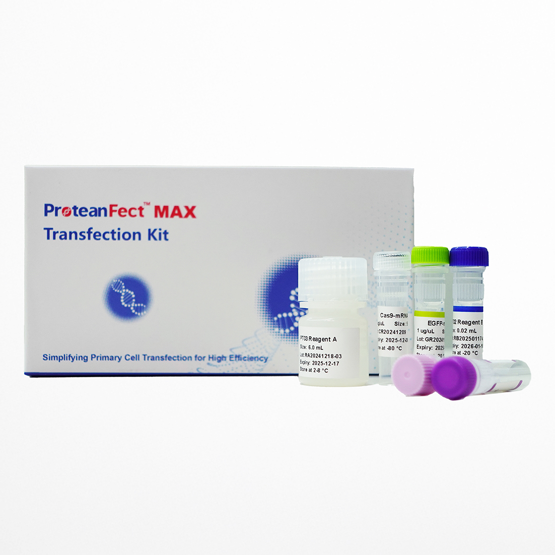 ProteanFect™ CRISPRMax Mouse Immunocyte Gene Editing Transfection Kit