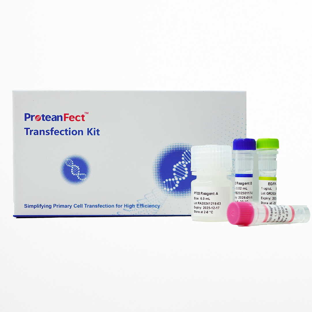 ProteanFect™ Max Mouse Immunocyte Transfection Kit