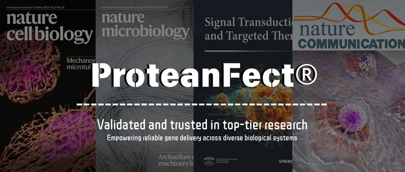 Liquid-Liquid Phase Separation Sparks a Revolution in Nucleic Acid Delivery: ProteanFect™ Featured Across Prestigious International Journals